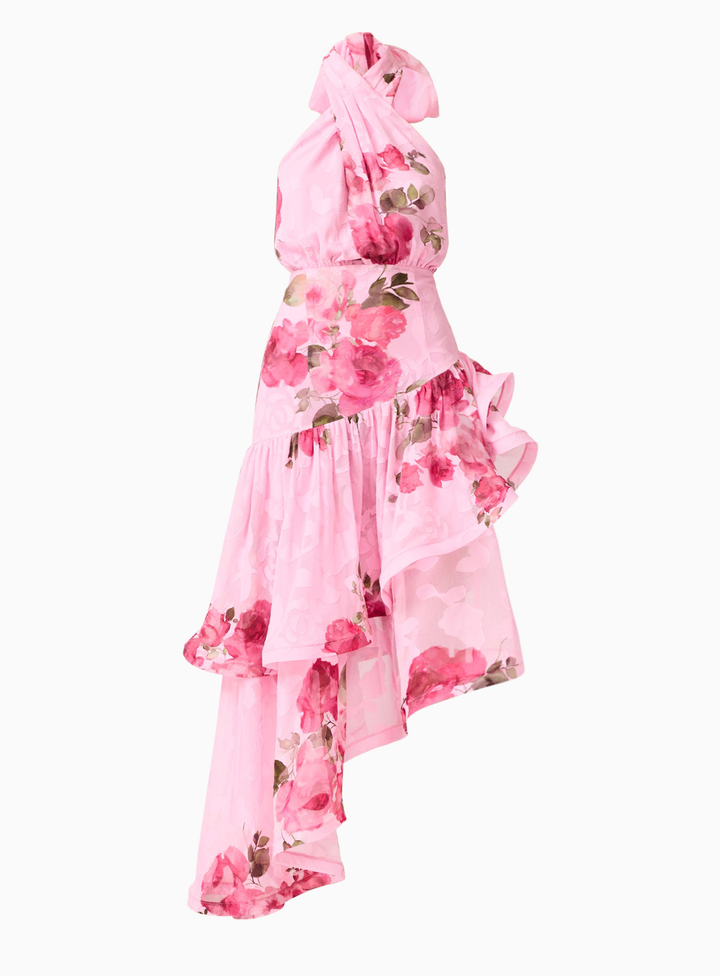 Eleanora High Low Maxi Dress