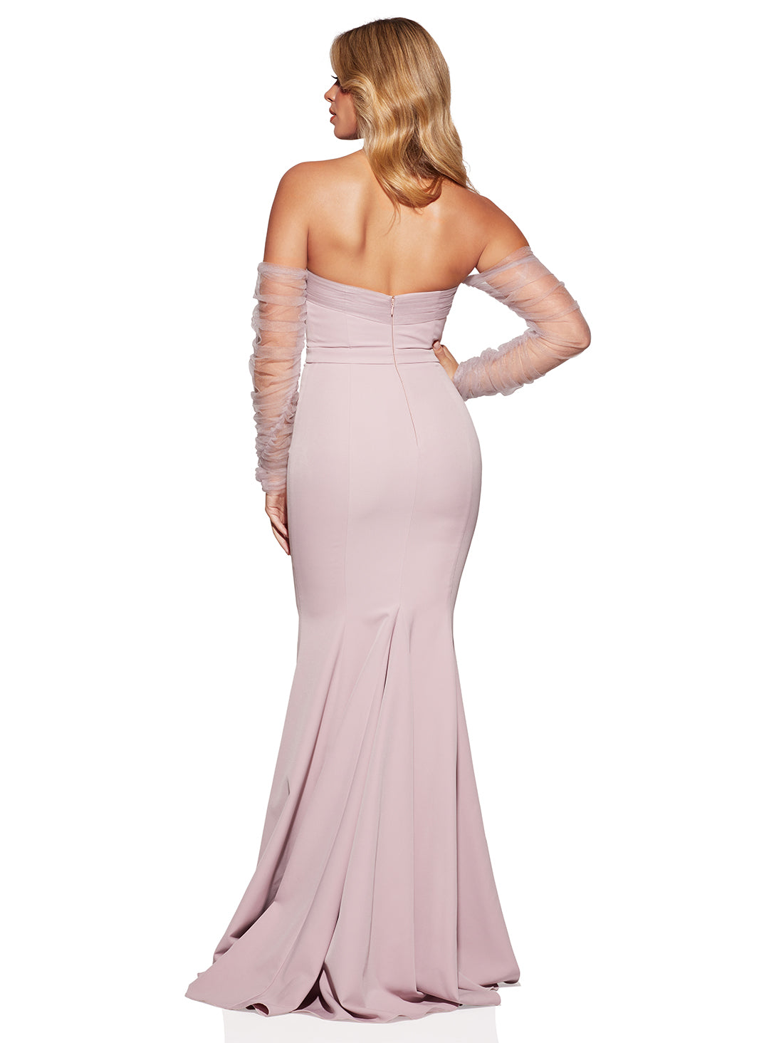 Chontell Sleeved Tulle Gown